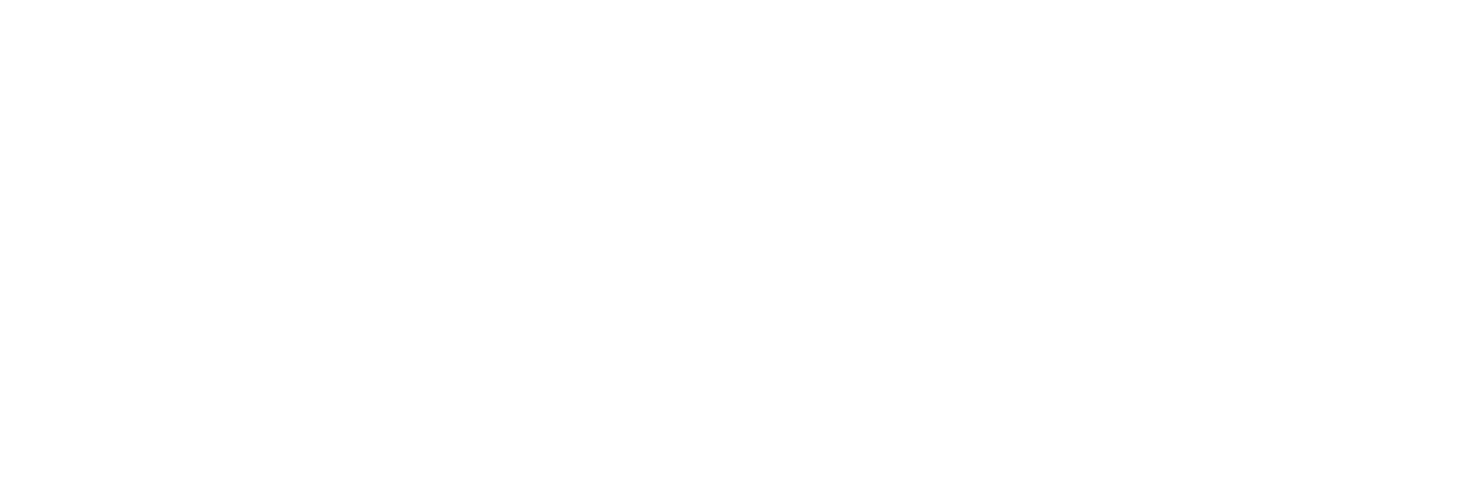 SVK-Logo-white
